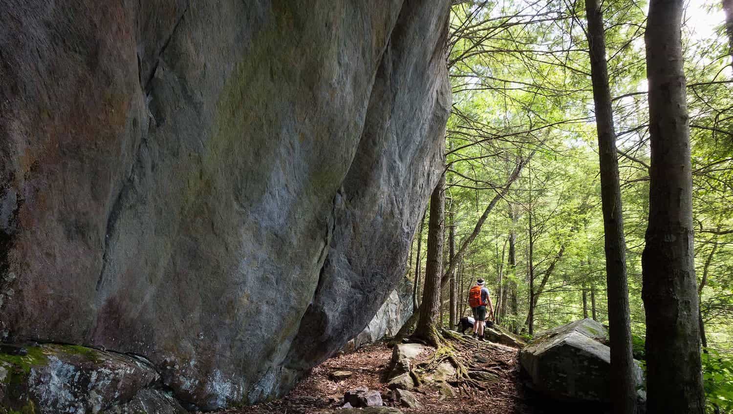 Panther Creek Falls Trail, Georgia