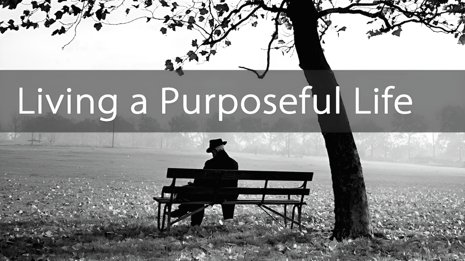 purposeful living