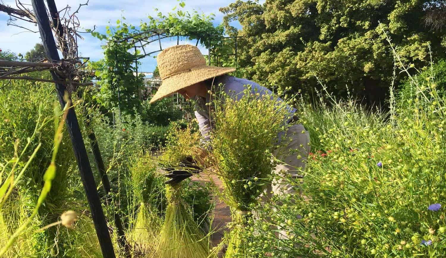 The Alnarp Rehabilitation Garden (Sweden)